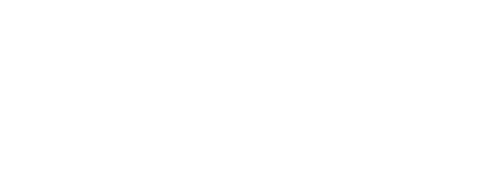 asset 6 1 1024x348 white.png