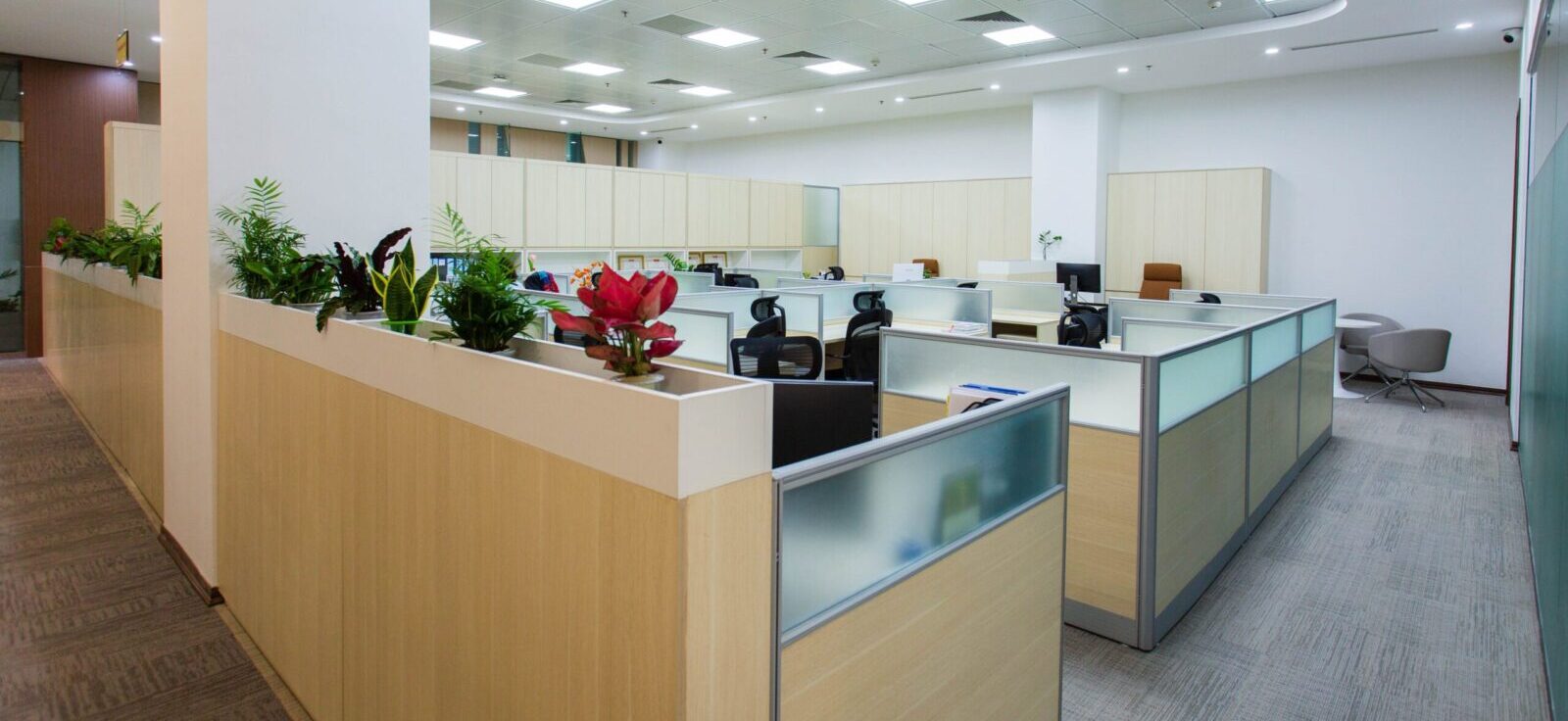 Spacious and bright open office area with cubicles, plants, and contemporary design.